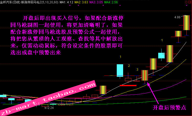 国内公司投资邮轮股票：投资前景与风险分析